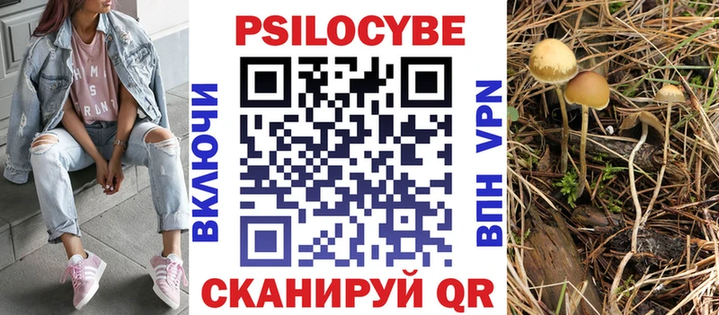 наркота Городовиковск Галлюциногенные грибы ЛСД