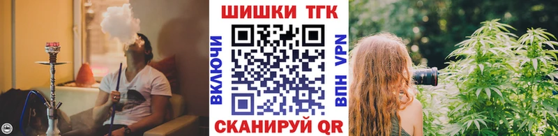 Шишки марихуана индика  продажа наркотиков  Городовиковск 